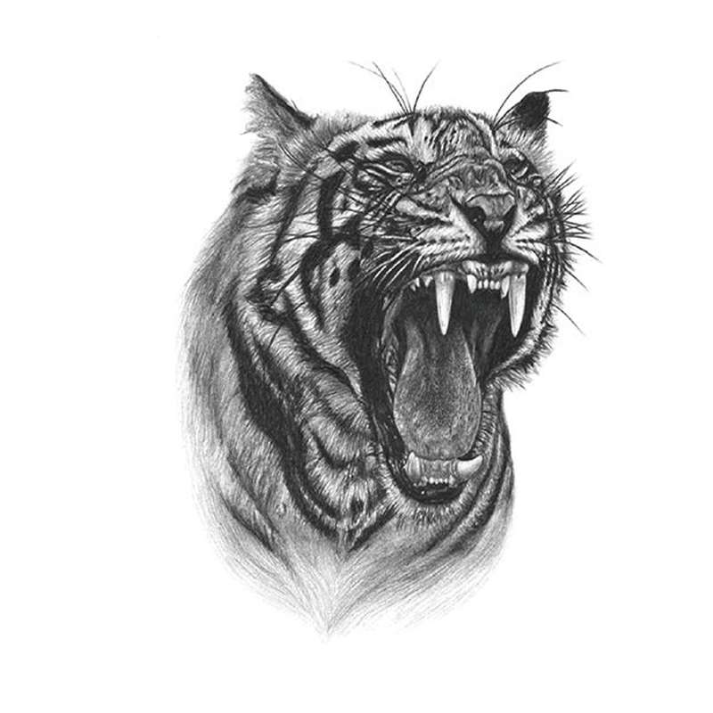 Tiger Head Silhouette Tattoo Simple Outline By artgrarisstudio |  TheHungryJPEG